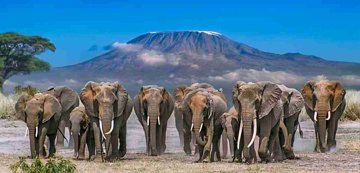 Amboseli National Park