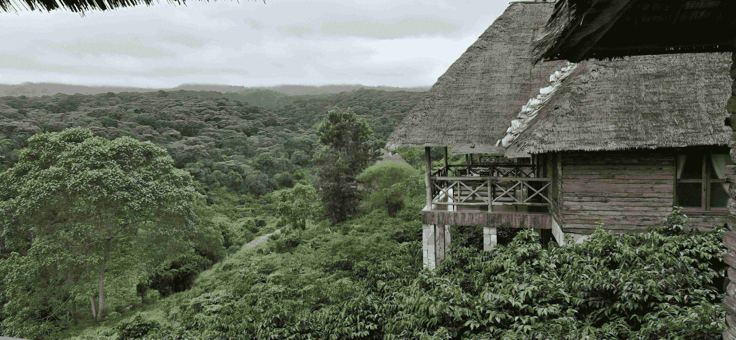 Tanzania