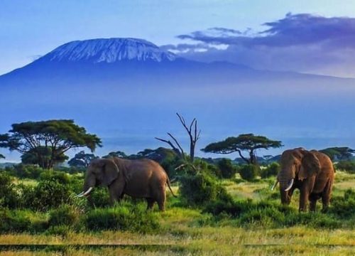 Amboseli National Park