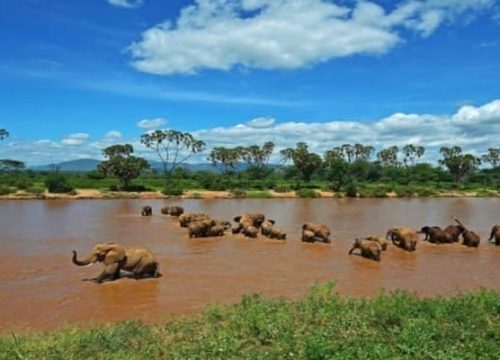 Samburu National Reserve