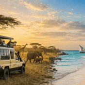Safari-Beach Blog
